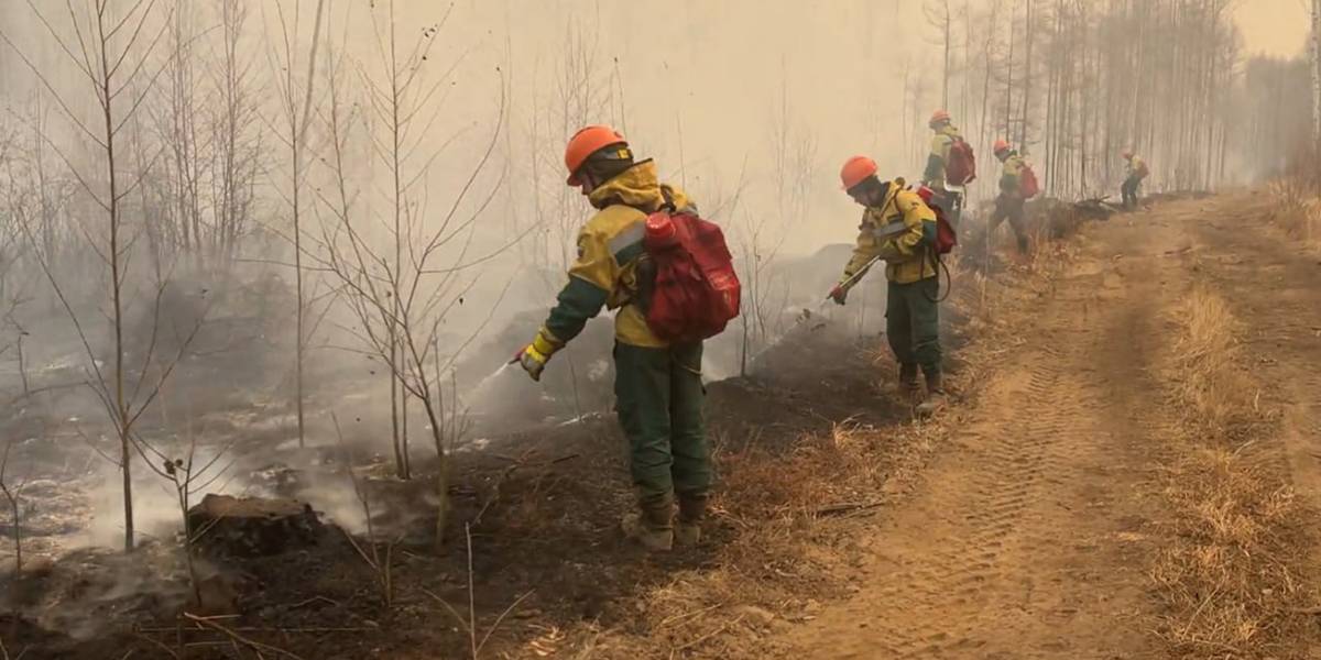 Пожарных обвинили в поджоге леса в Забайкалье