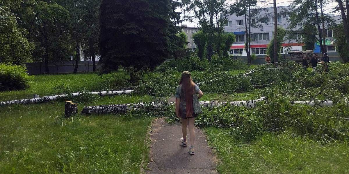 Рано поздравлять с победой: защитники сквера попросили у мэра Новокузнецка официальных гарантий