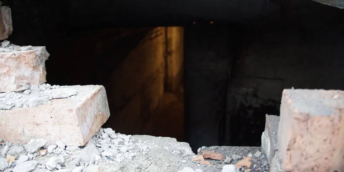 Только бешеной лисы и не хватало. Новосибирскую девятиэтажку закрыли на карантин, но жильцы об этом не знают