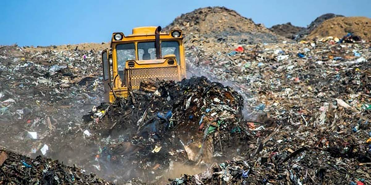 Золотые отходы. Как «мусорная реформа» стала главной афёрой Новосибирской области