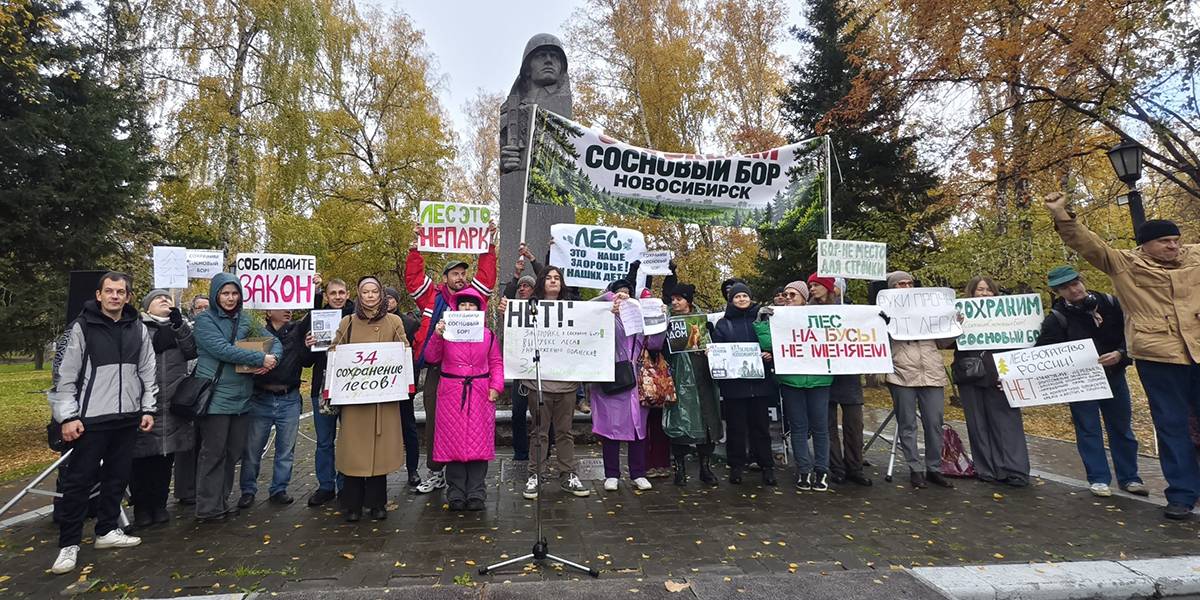 Вырубки леса обернулись претензиями к мэру Новосибирска после митинга