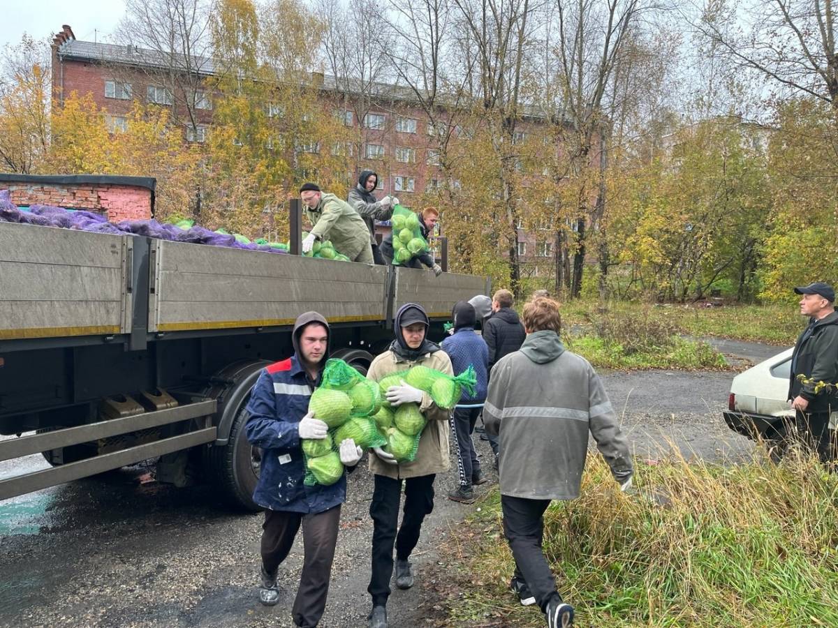 Власти Кузбасса отчитались об овощных наборах для жителей от предприятий. Подсчитали, сколько они могут стоить 